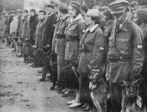 Anti tank dog