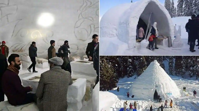 Igloo Cafe 1