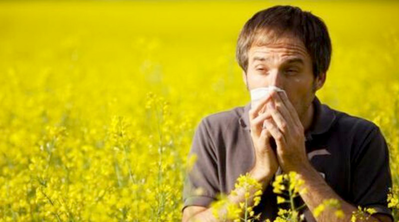 Pollen Allergies