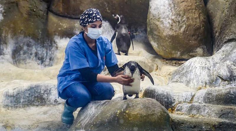New genetic study now sheds light on why humans live longer than animals। Sangbad Pratidin