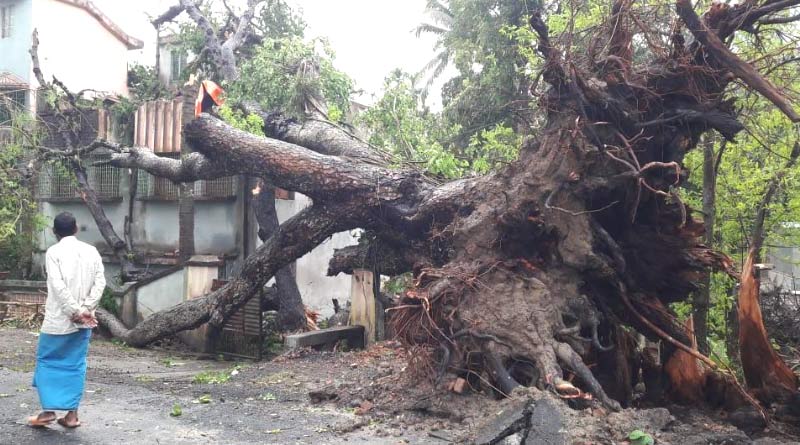 Rain in Bengal 