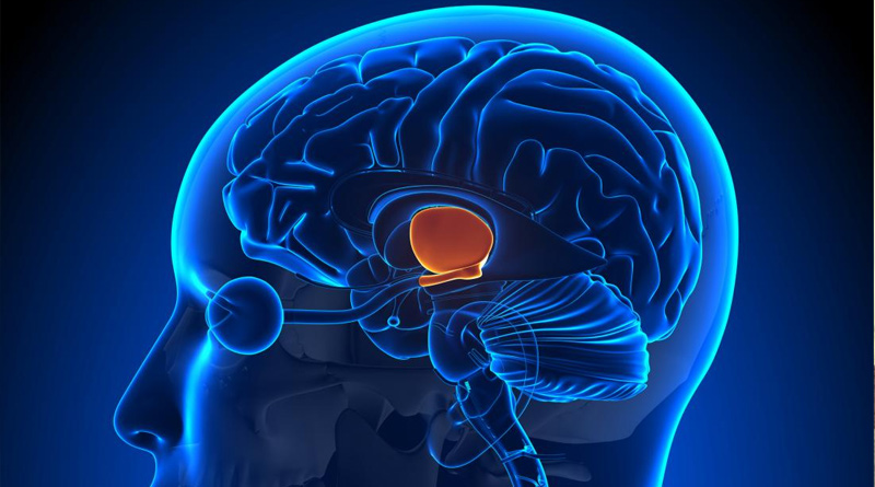 Hypothalamic Dysfunction