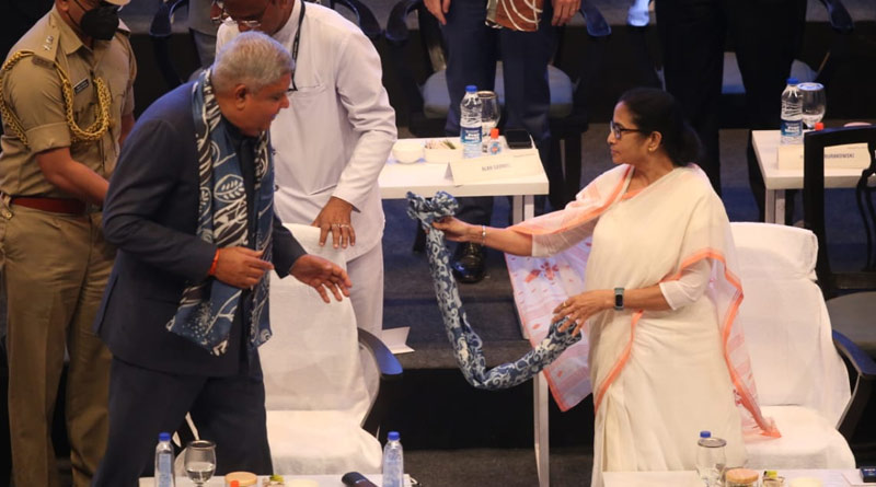 mamata-dhankar