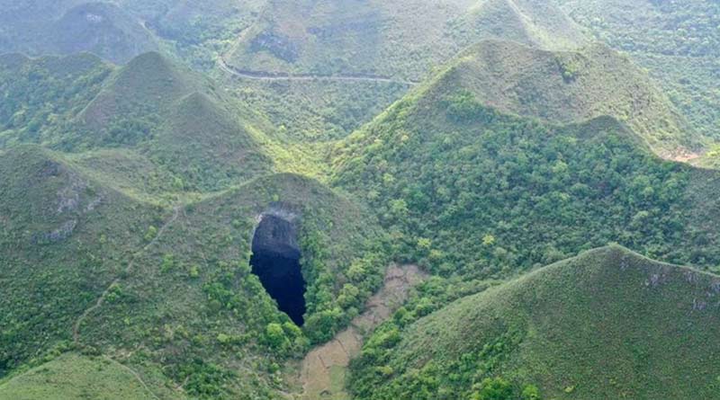 Ancient forest hiding under Guangxi in Southern China, could be home to unique species | Sangbad Pratidin