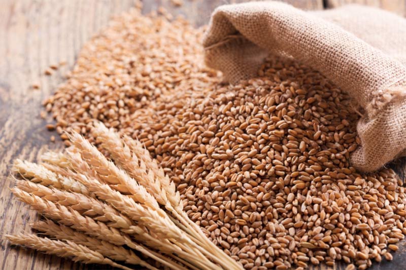 Wheat-2