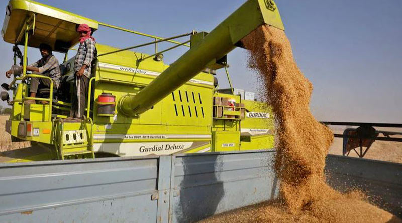 UAE suspends Exports Of Indian Wheat For 4 Months | Sangbad Pratidin