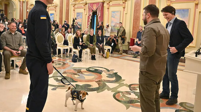 Sniffer dog receives award from Zelenskyy on diffusing 200 bombs | Sangbad Pratidin