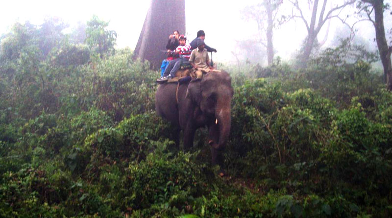 Forest Department restricts people form entering forest in monsoon | Sangbad Pratidin