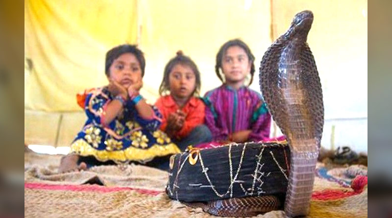Land-of-Snakes-1