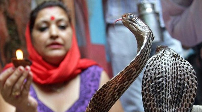 Land-of-Snakes-2
