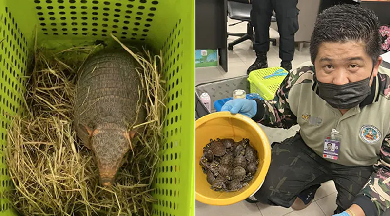 Two Indian Women With 109 Live Animals In Luggage Arrested At Bangkok Airport | Sangbad Pratidin