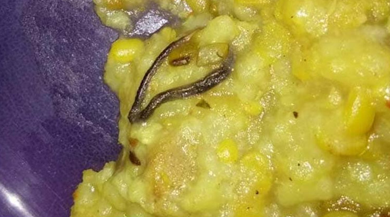 Snake in Khichdi! Anganwadi student hospitalized | Sangbad Pratidin