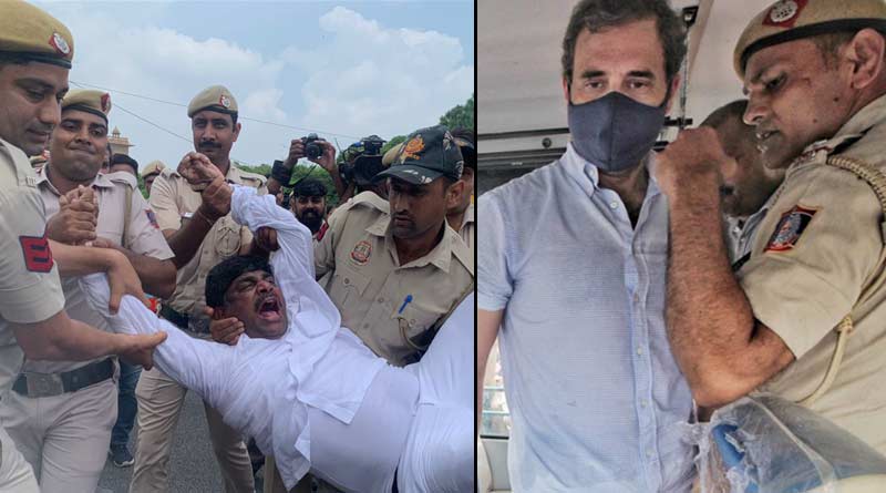 Rahul Gandhi slams Modi Govt as 'king' and India 'police state' after being detained from the protest at Parliament | Sangbad Pratidin