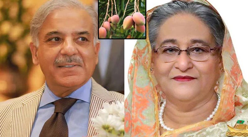 Bangladesh PM Sheikh Hasina sends 'Amrapali' mangoes to Pakistan PM Shehbaz Sharif | Sangbad Pratidin