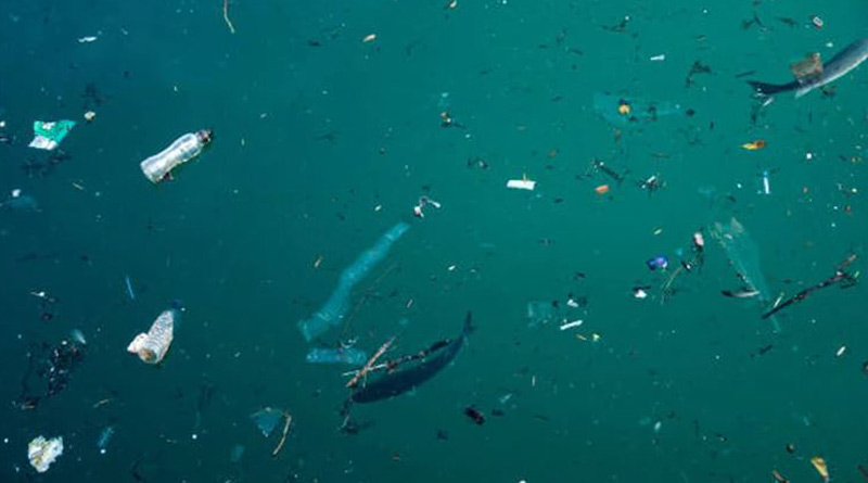 Scientists develop robot fish that gobble up microplastics। Sangbad Pratidin