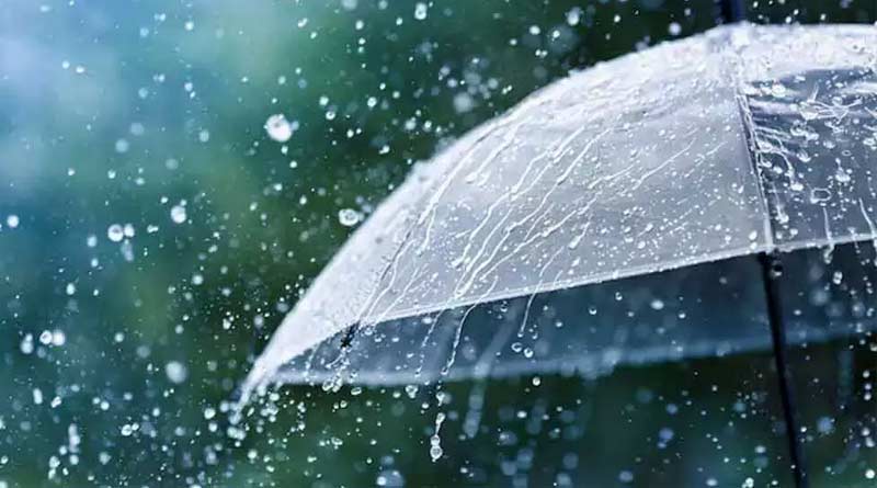 Umbrella