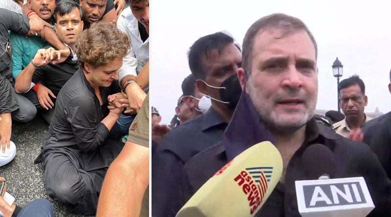 Rahul Gandhi, other Congress leaders detained for staging dharna outside Parliament