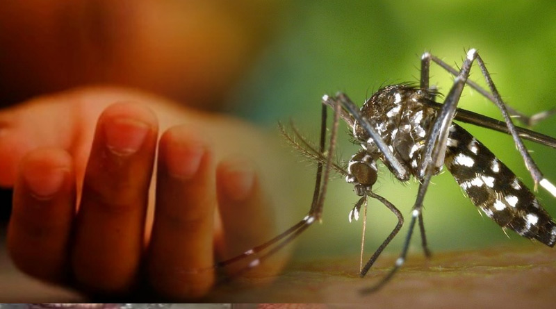 Three died of Dengue during last 24 hours, Suvendu Adhikari writes to union health minister | Sangbad Pratidin