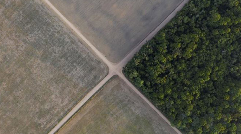 Four forest-rich nations accounted for roughly 80% of tropical deforestation caused by large-scale mining। Sangbad Pratidin