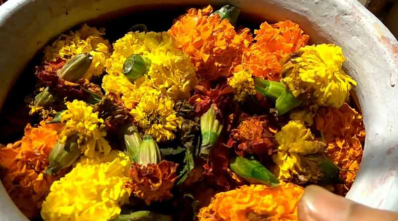 Floral-waste