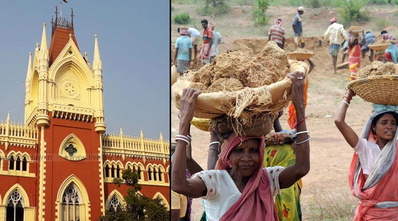 Calcutta HC asks affidavit from Centre and WB Govt. in MNREGA Scam case | Sangbad Pratidin