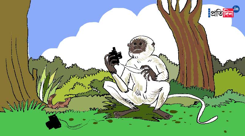Monkey threw the trap camera tied in the tree, Forest Department of Purulia is spellbound | Sangbad Pratidin