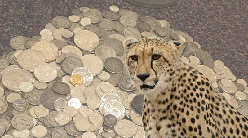 Silver and Bronze Coins Unearthed From Kuno National Park Where Narendra Modi Released Cheetahs | Sangbad Pratidin
