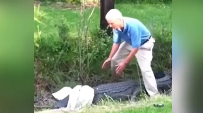Viral Video of a Man Tried To Control An Alligator With A Shirt | Sangbad Pratidin