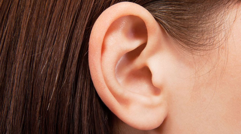 Ear