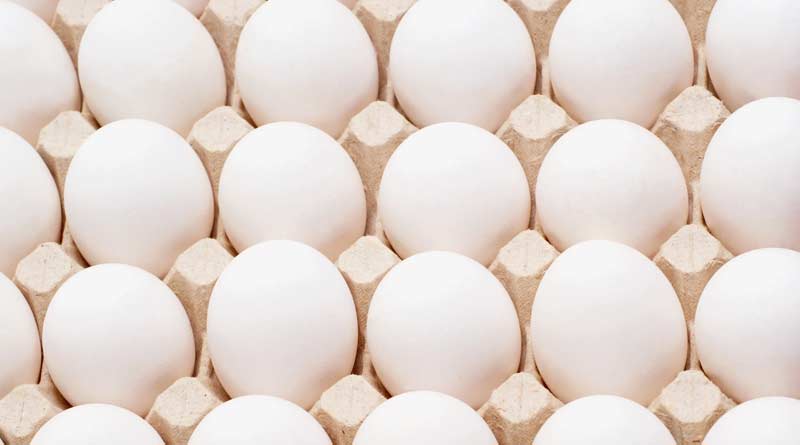 Bangladesh allows to import 4 crores eggs from India to reduce price in market | Sangbad Pratidin