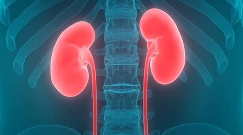Bihar Woman Alleges Her Kidneys Fraudulently Removed she Wants Doctor's Organs | Sangbad Pratidin