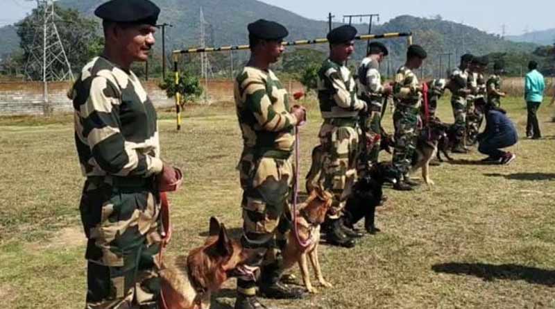 BSF orders Court of Inquiry after a sniffer dog gets pregnant near Bangladesh border | Sangbad Pratidin