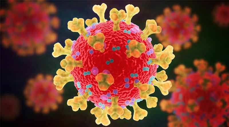 Israel reports cases of New variant of corona virus amidst rise of infection | Sangbad Pratidin