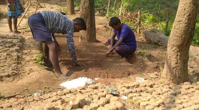 People farming medicine plant in Ajodhya Hills । Sangbad Pratidin