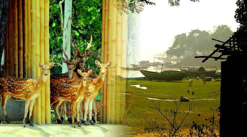 Garchumuk 'mini zoo' will privatized, Tourist may have to pay extra now | Sangbad Pratidin