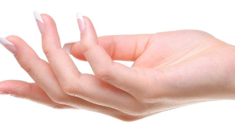 Hand