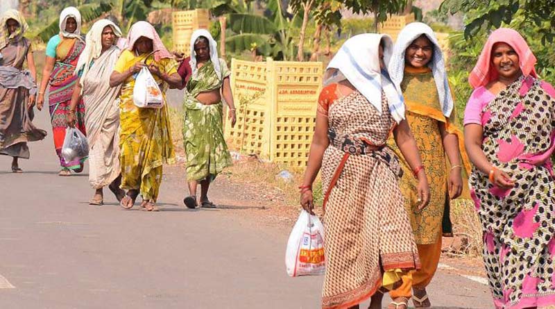 World Bank report reveals More women walk to work in India as compared to men। Sangbad Pratidin