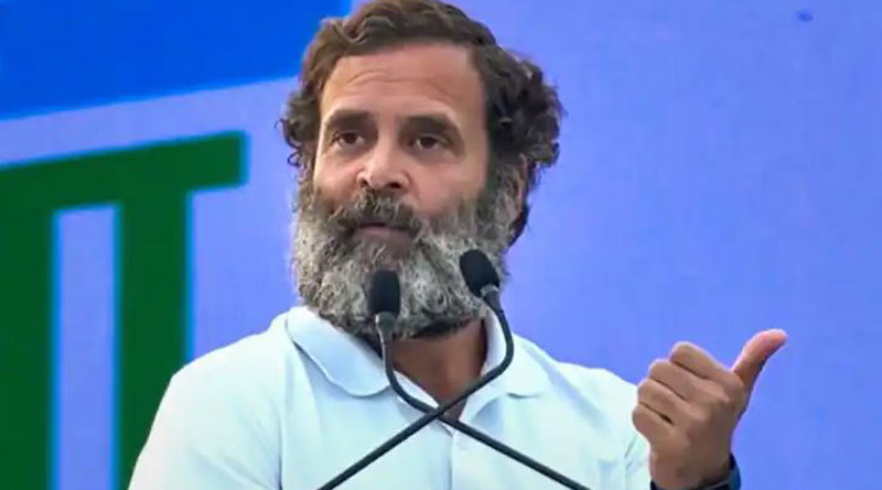 Rahul Gandhi says he does not mind being called 'pappu' । Sangbad Pratidin