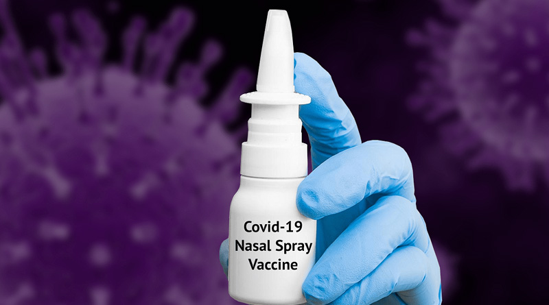 Corona Nasal vaccine dose available on CoWIN portal | Sangbad Pratidin