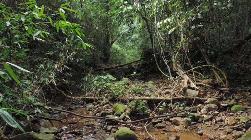 Balpakram-National-Park