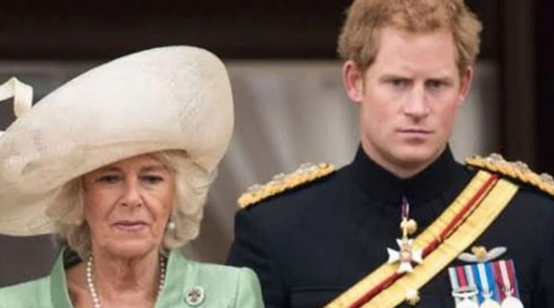 Prince Harry calls Camilla ‘the villain’। Sangbad Pratidin