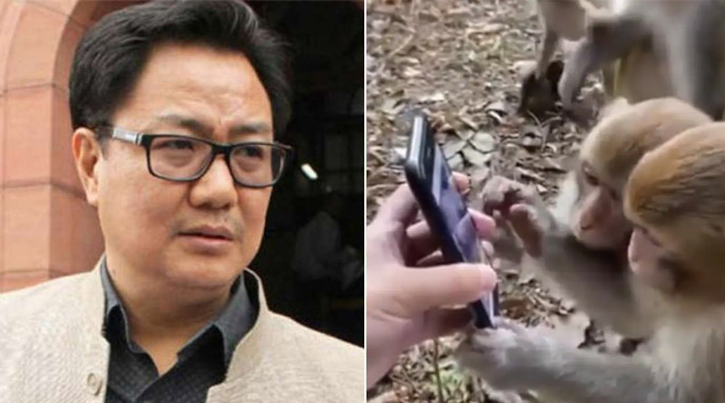 Kiren Rijiju shared video of Monkeys Scrolling Smartphone | Sangbad Pratidin