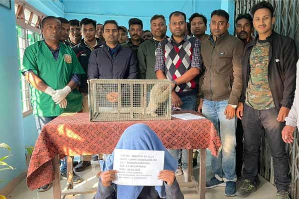 Pangolin Rescue