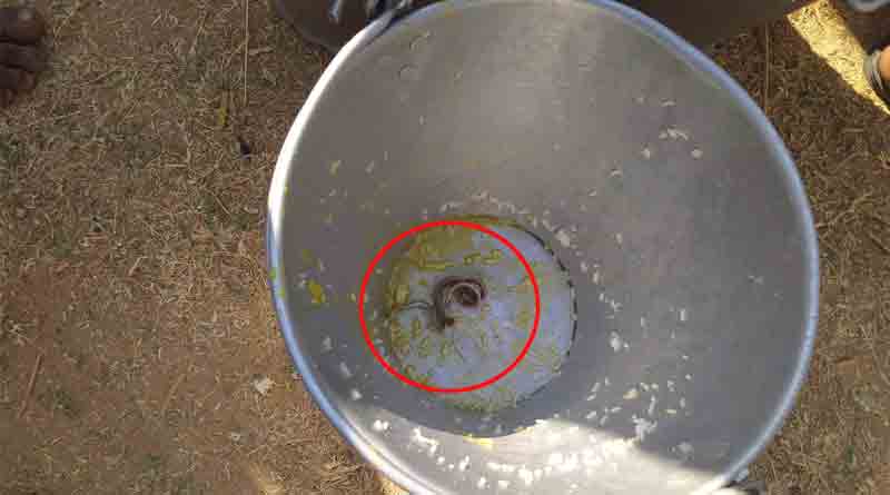 Snake in midday meal, Birbhum students terrified | Sangbad Pratidin