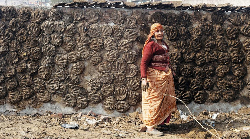 Cow dung cakes used for environment friendly cremation in Kolkata | Sangbad Pratidin