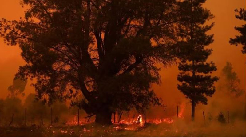 Chile wildfires: at least 23 dead। Sangbad Pratidin