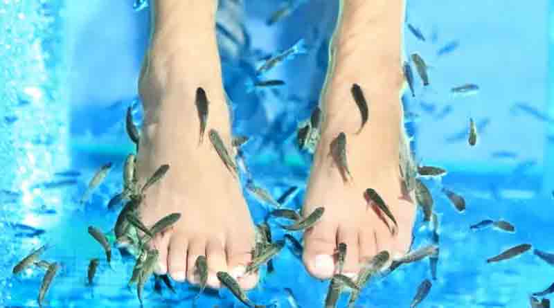 Fish foot spa available at Sealdah station | Sangbad Pratidin