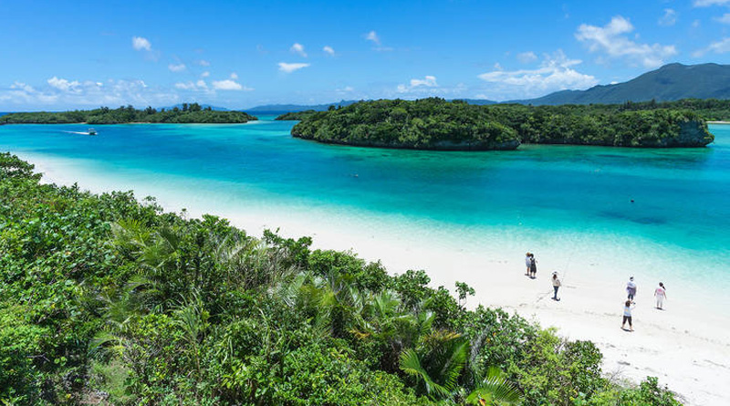 Chinese woman bought Japan island, stirs controversy | Sangbad Pratidin