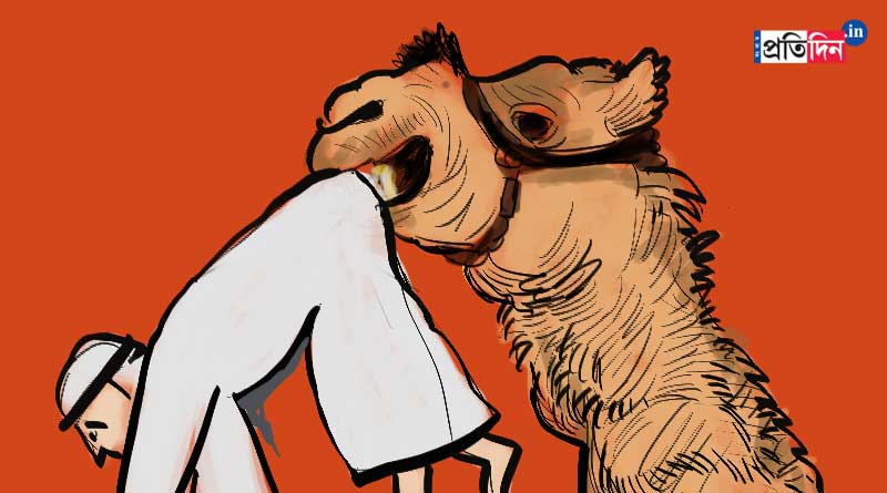A Camel kills owner and the villagers beat animal to death in Rajasthan | Sangbad Pratidin