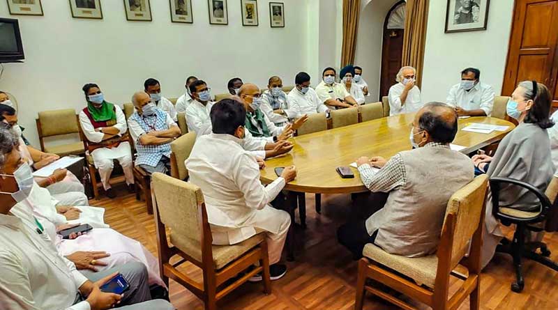 TMC will stage protest with Congress at Parliament on Rahul Gandhi issue | Sangbad Pratidin